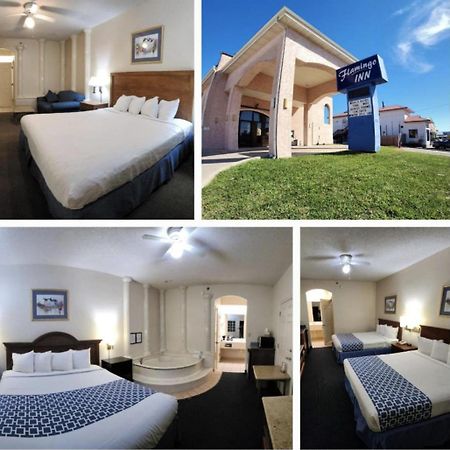 The Flamingo - South Padre Island Hotel Екстериор снимка